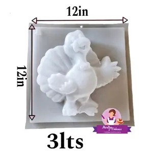 Cartoon Turkey / Pavo Caricatura