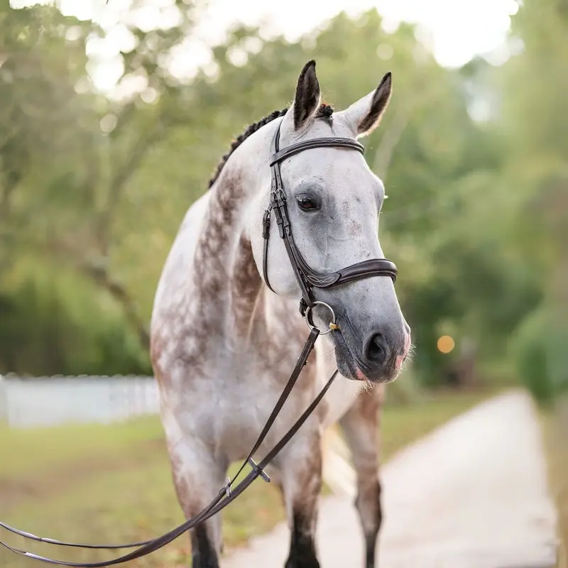 F.R.E Fancy Stitch Ergonomic Bridle