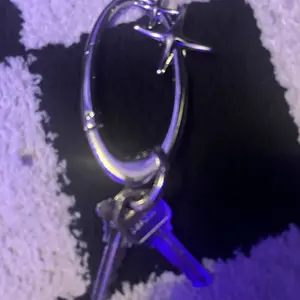 Starlight Y2K Metal Heavy Shiny Carabiner-Viral Carabiner Belt Loop Accessory - Fashion Accessory for  Outdoor Camping & Everyday Use & TikTokShopBlackFriday