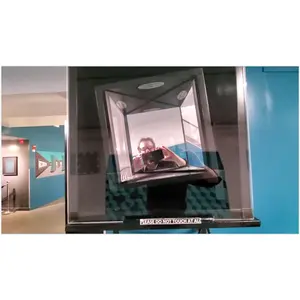 Anti-Gravity True Mirror Experience