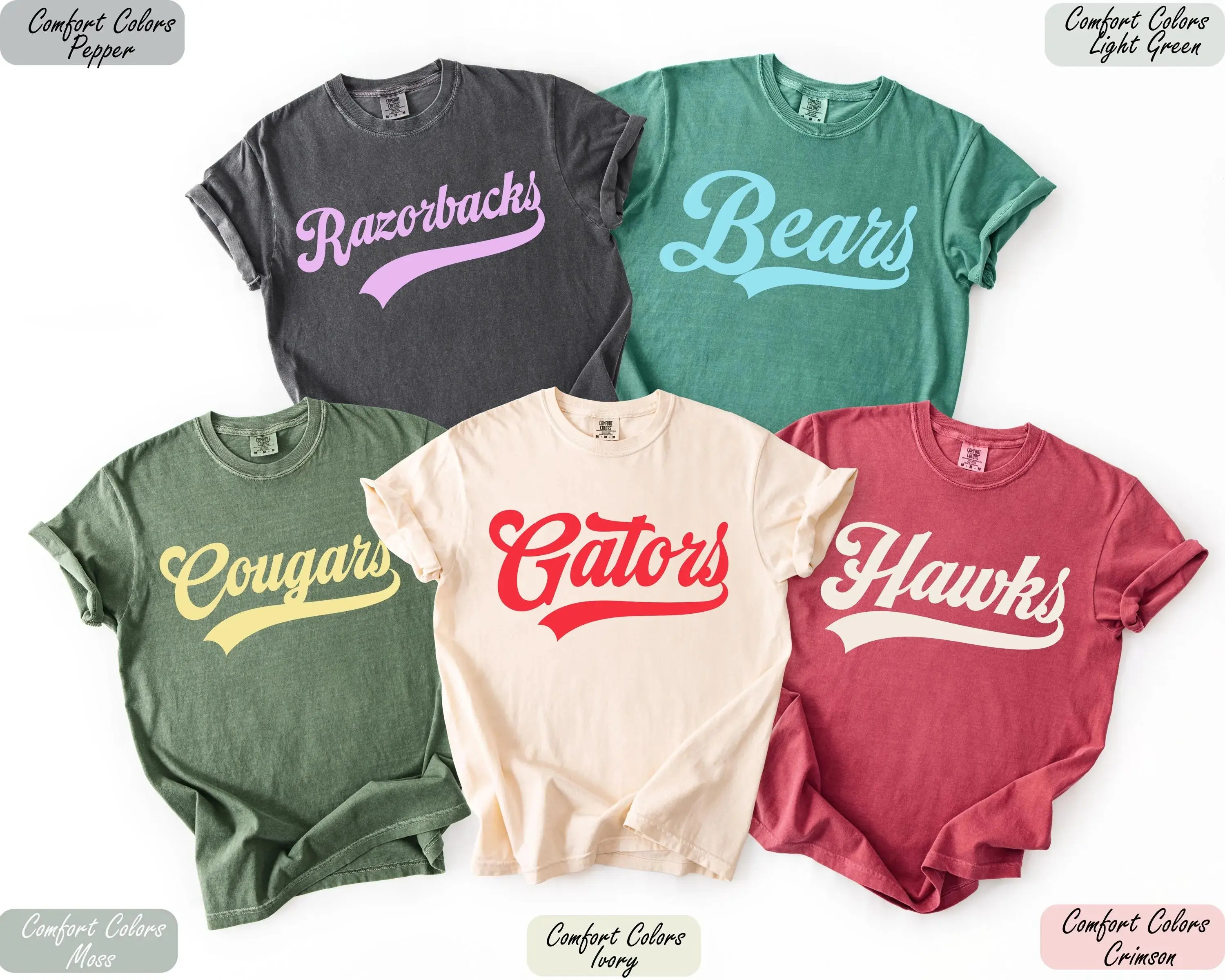 Comfort Colors Custom School Mascot T-Shirt, Custom Name Gifts For Back To School, Custom Sports Tee, Team Mascot Shirt, School Logo Tee