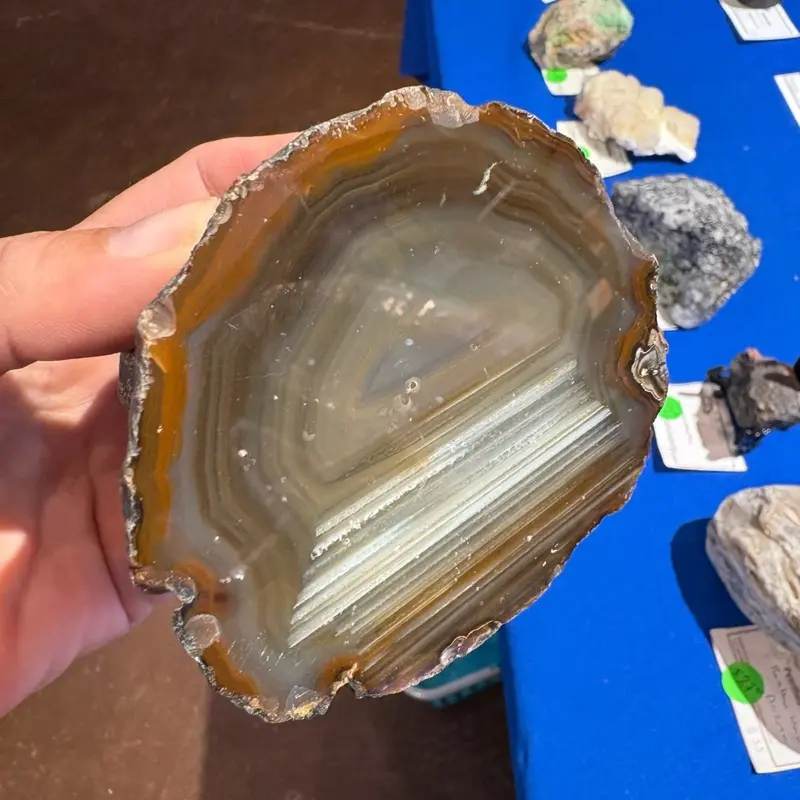 Waterline Agate Geode - Natural Rock Specimen with Layered Interior and Earthy Coloration