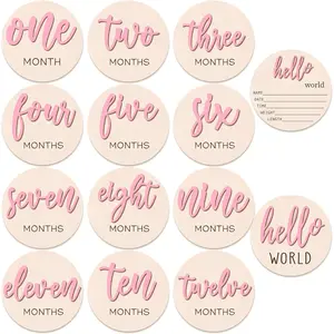 7 count  3D Monthly Milestone Wooden Signs Girl  1-12 Months Announcement Card Sign  Markers Disc Block  Keepsake Double Sided Engraved Keepsake Photo Prop ()