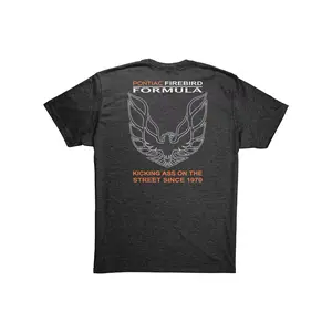 Pontiac Firebird Formula WS6 Graphic Tee Car Enthusiast Gift Muscle Car Apparel T-shirt Sweatshirt Hoodie 2 Sided