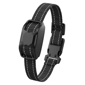 Replacement Receiver for Dog Training Collar RS2A and RS2B