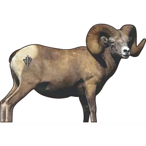 2D Bighorn Broadside Target