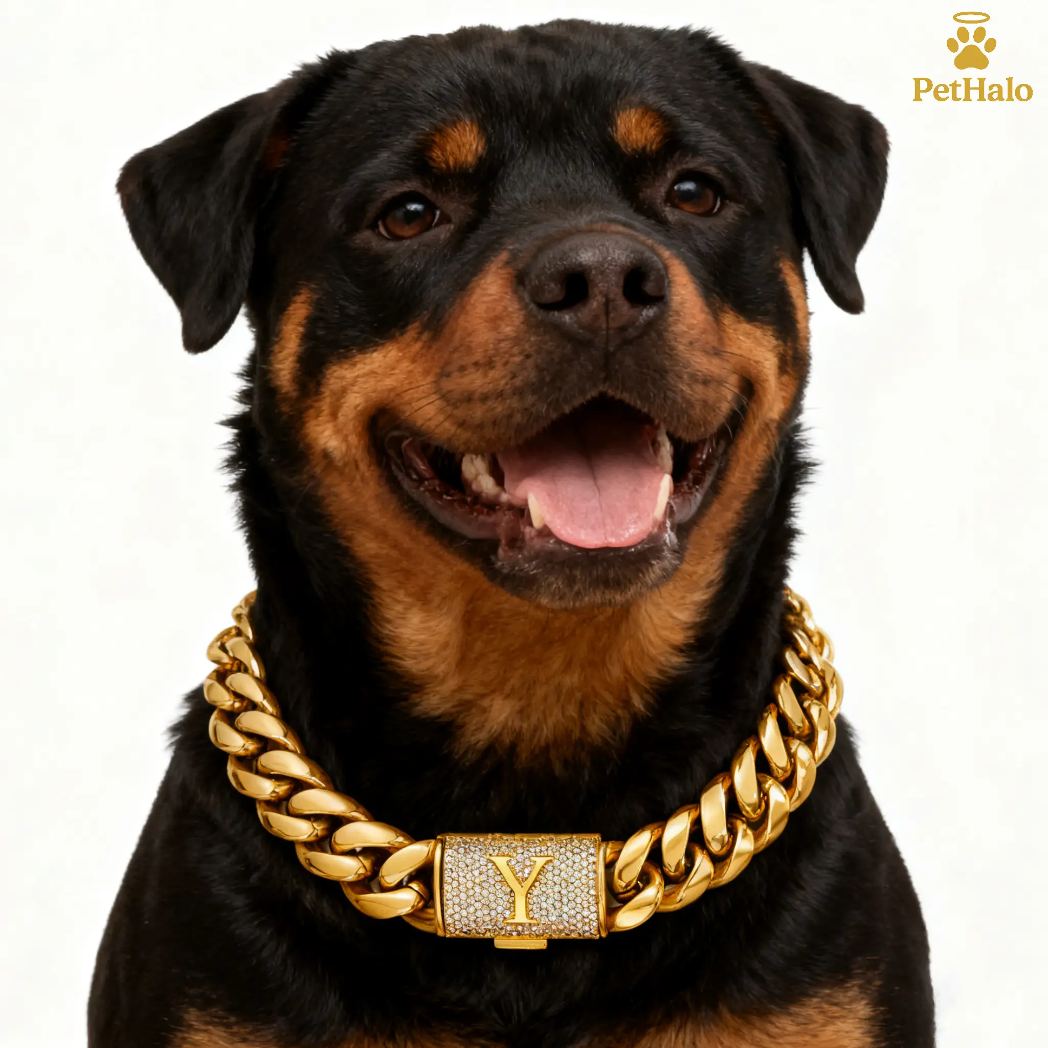 18K Gold Plated Dog Cuban Chain Collar – Custom Initial A–Z Letter