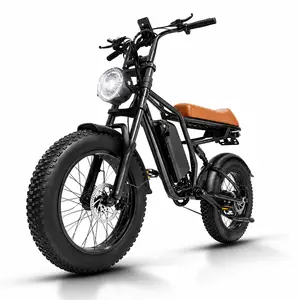 The M1 | Where Retro Cool Meets Electric Power,750W motor, IPX4 protection, and a sleek design. It’s the e-bike you didn’t know you needed—until now.