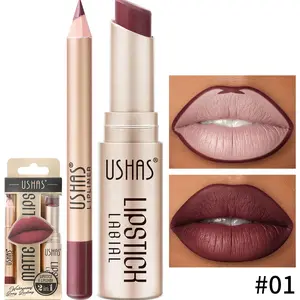 2 in 1 Hydrating Lipcare Lipstick & Lip Liner Makeup Set, 2 Counts/set Not Dry Matte Lipstick & Lipliner, Long Lasting Moisturizing Velvet Matte Lipstick, Music Festival Cosmetic for Lip Makeup, Summer Essentials