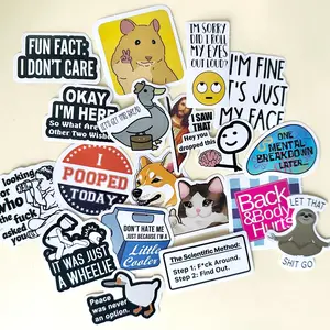 130PCS Funny Saying Sticker Pack - Snarky, Sarcastic Bold Humor Vinyl Waterproof Meme stickers for laptop, computer, water bottle, ipad, phones bumper folding chair sticker pack Prank