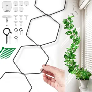Chain Trellis for Climbing  - Indoor & Outdoor House  Accessories for Monstera, Pothos, Ivy, and  | Garden Wall Trellis and  Vine Support - Houseplant Accessories and  Gifts