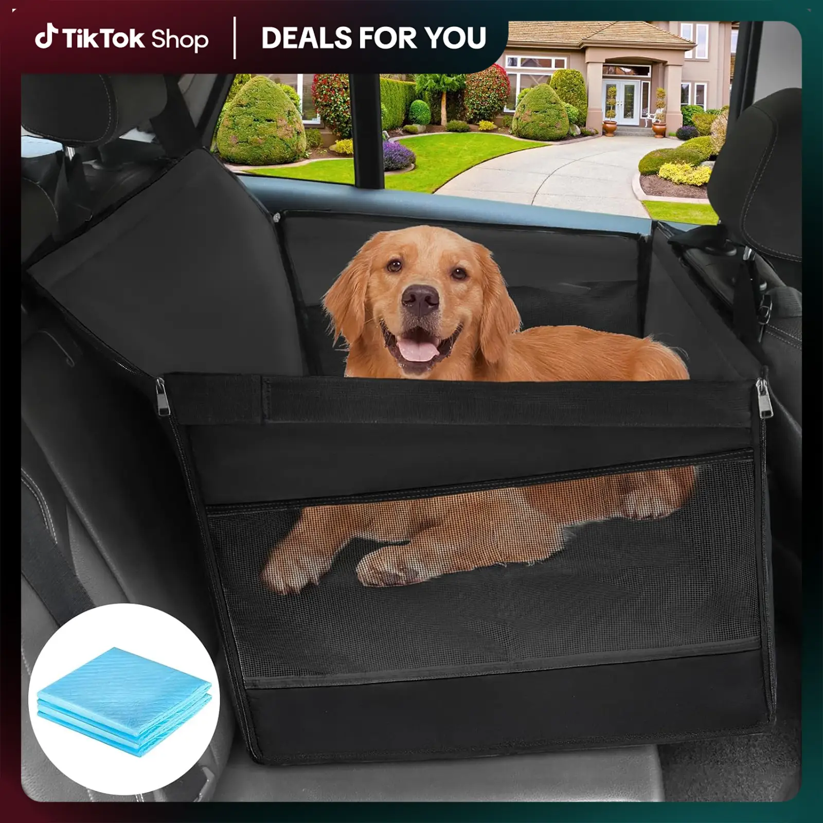 DealsForYou Dog Car Seat for Up to 55 lbs or 2 Small Dogs Ventilated Breathable Booster Seat with 4 Fastening Straps for Backseat Travel