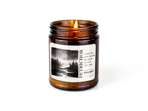 Petrichor The Smell Of Earth After Rain Soy Wax Candle, Book Lover Gift, Home Decor Trendy