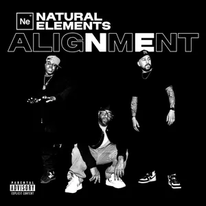 Natural Elements - Alignment  [COMPACT DISC - CD]