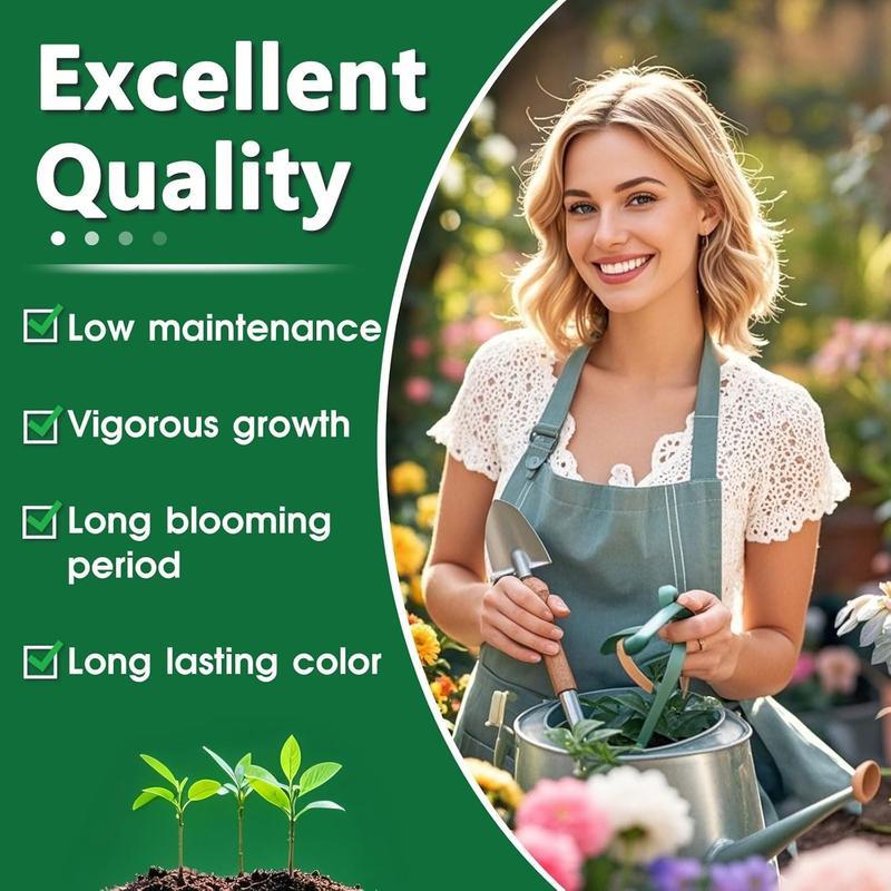 Mixed Color Hosta Plants Decorative Garden Variety Ideal for Outdoor Landscaping with Vibrant Leaves summervibes