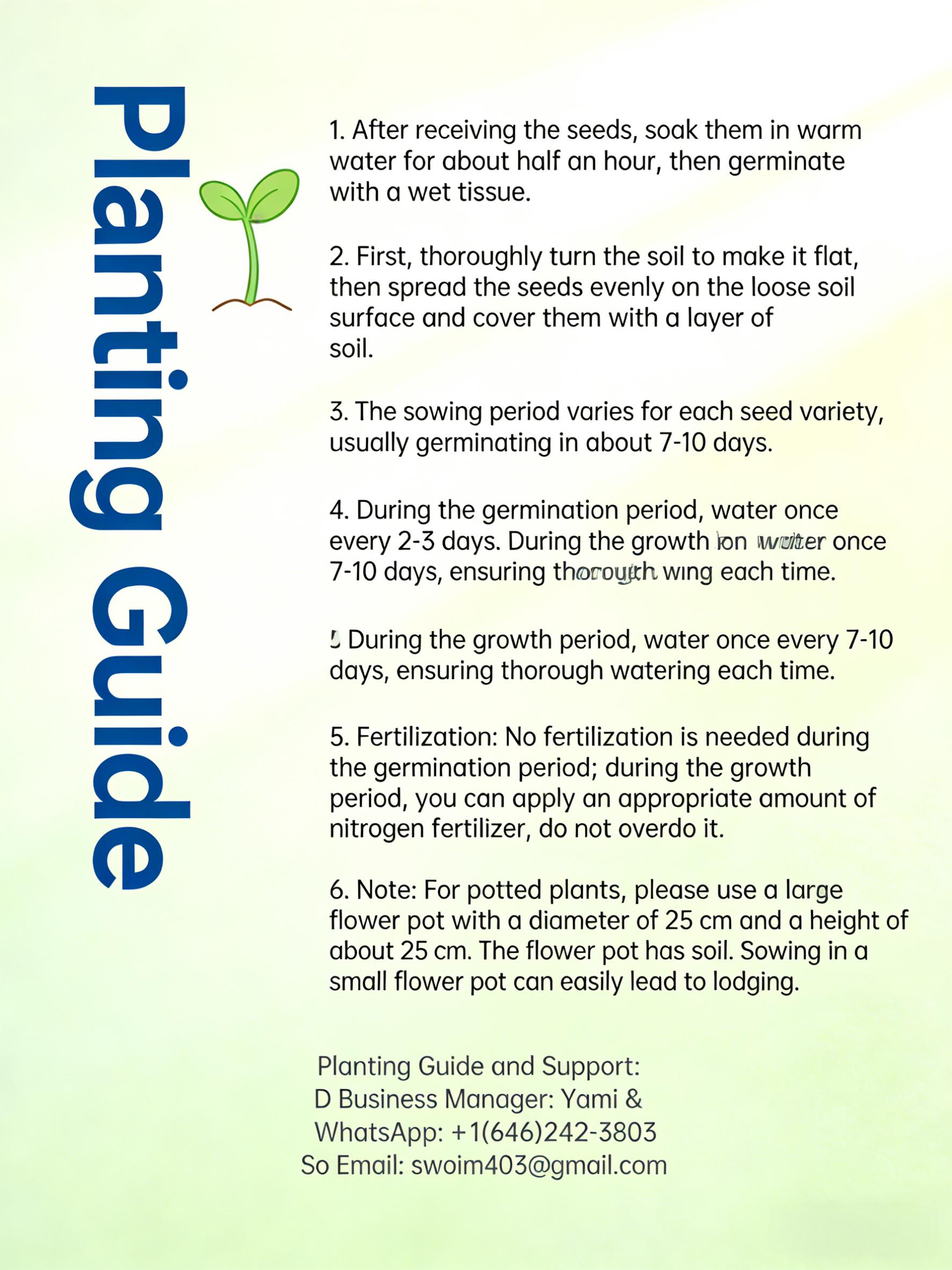 Heirloom Blueberry Seeds – Grow Your Own Berry Plant at Home, Easy Care for Beginners, Suitable for Outdoor Garden and Large Pots