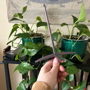 Turkish Drop Spindle