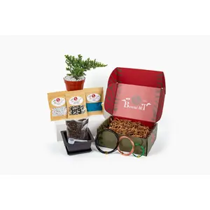 Complete Beginner Bonsai Starter Kit