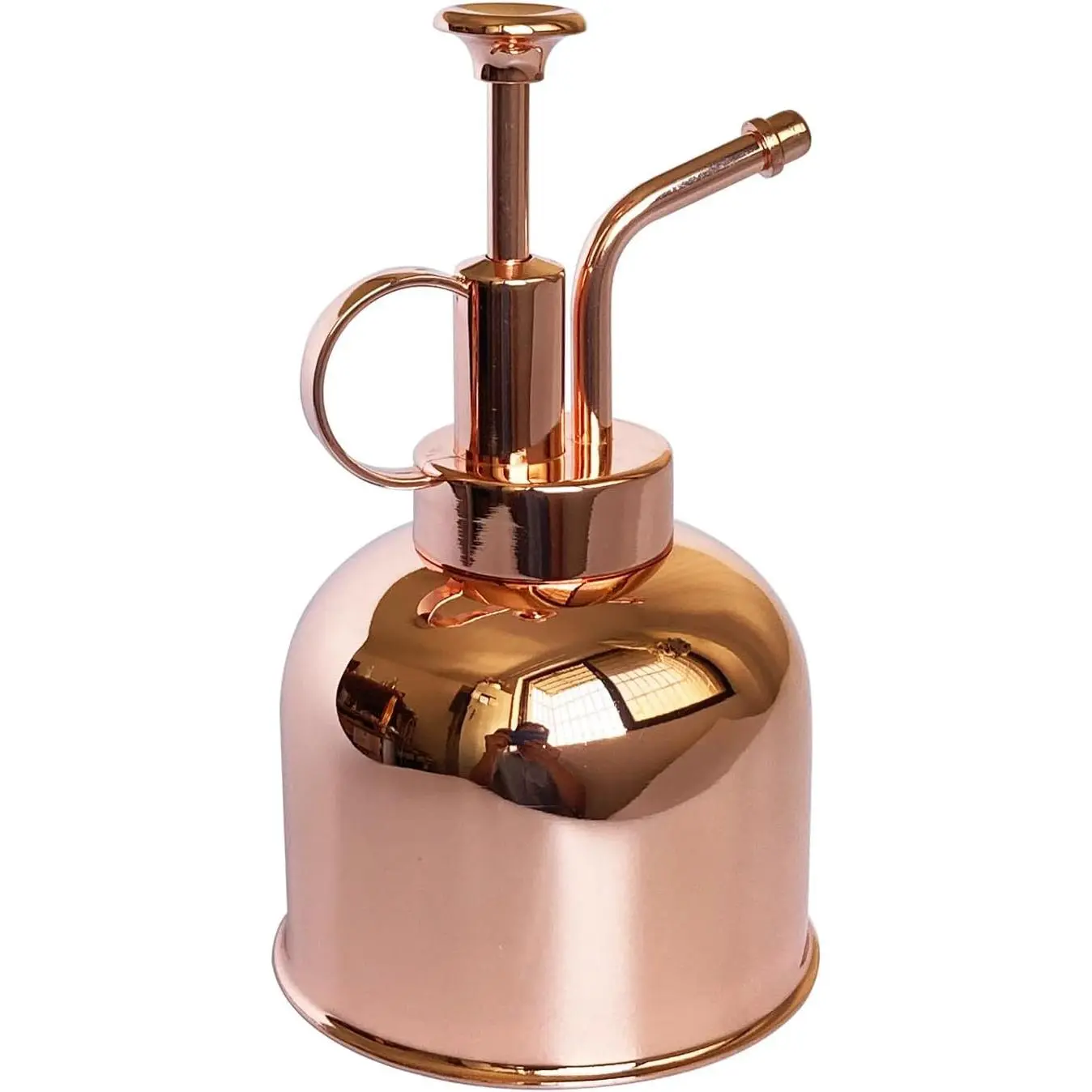 Stainless Steel Plant Mister Spray Bottle Small Watering Can Plant Sprayer Modern Gardening Tools for Indoor Potted Plants Watering and Spraying