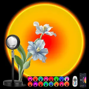 Sunset Lamp Projector Multi-Color Multi-Mode, Dimmable, Timing,  Rhythm, Sunset Background Wonderful Visual , USB Plug and Play (Remote & APP)