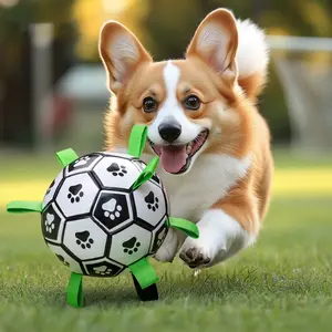 Durable Dog Toy Ball for Border Collie, Labrador, Corgi Training, Bite-Resistant Pet Soccer, No Pump Included, 1 Piece