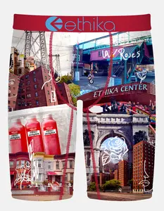ETHIKA Brooklyn Finest Staple Mens Boxer Briefs