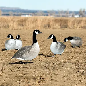 V2AF Alternate Flocked Canada Goose Silhouettes