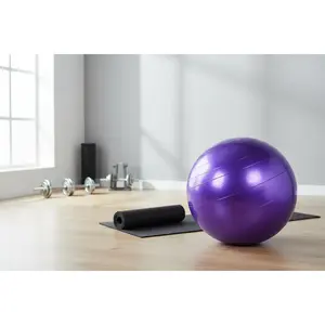 PowerGear Pro Stability Ball