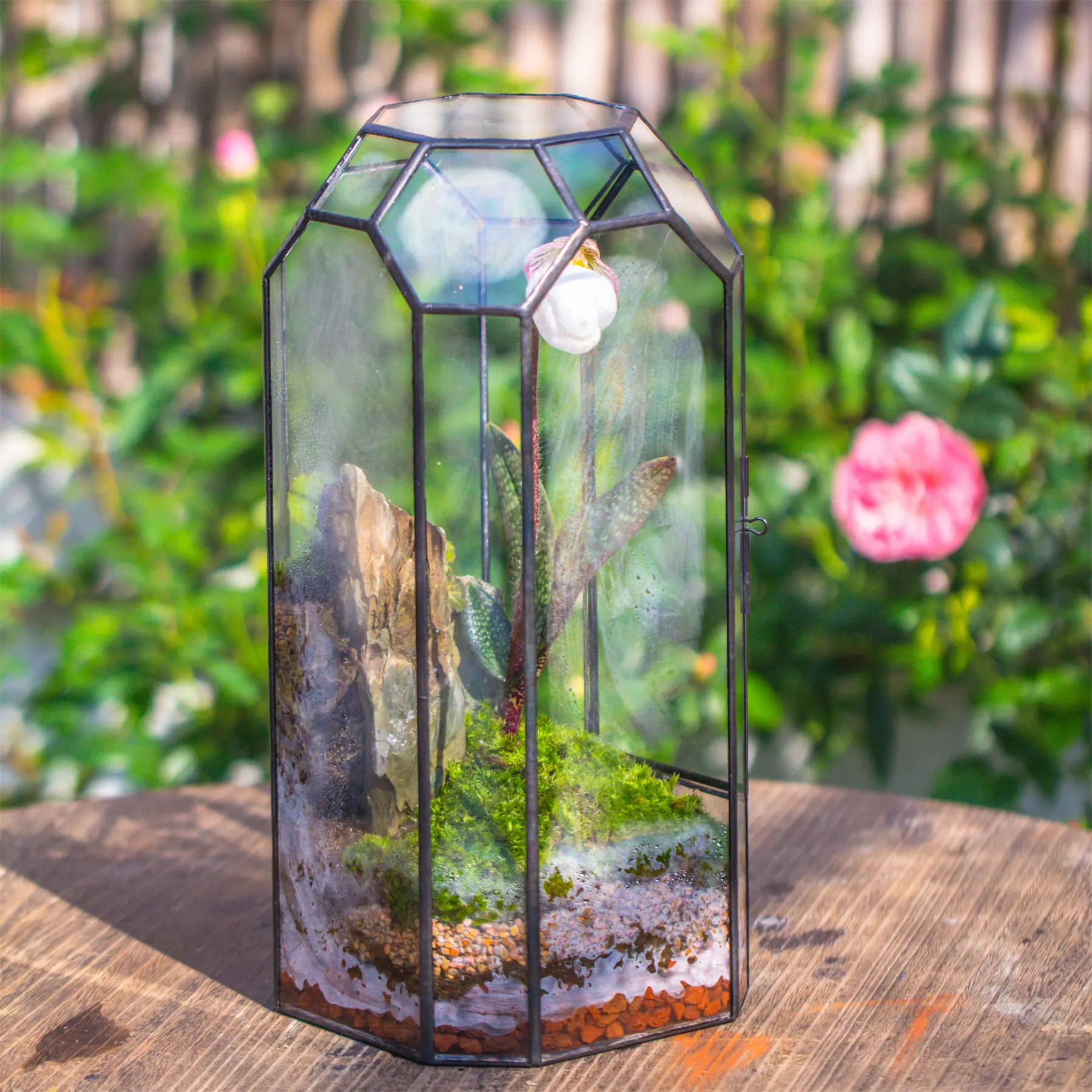 NCYP Tall Closed 12.8" Glass Geometric Plant Terrarium with Door for Moss, Fern, Tall Tropical Plants (Terrarium Only)
