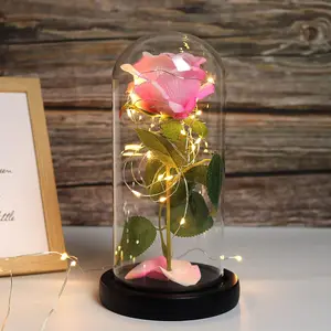 LED Rose in Glass Dome - Colorful Lights - Valentines Day, Mother's Day, Anniversary, Birthday Gifts for Her