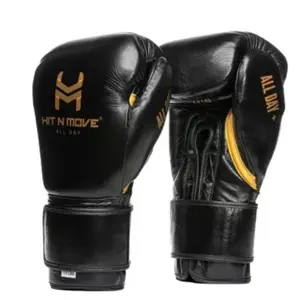 Hit N Move 1.5lb Boxing Gloves - Hook and Loop