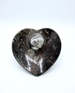 Moroccan Fossilized Calamari Heart Plate