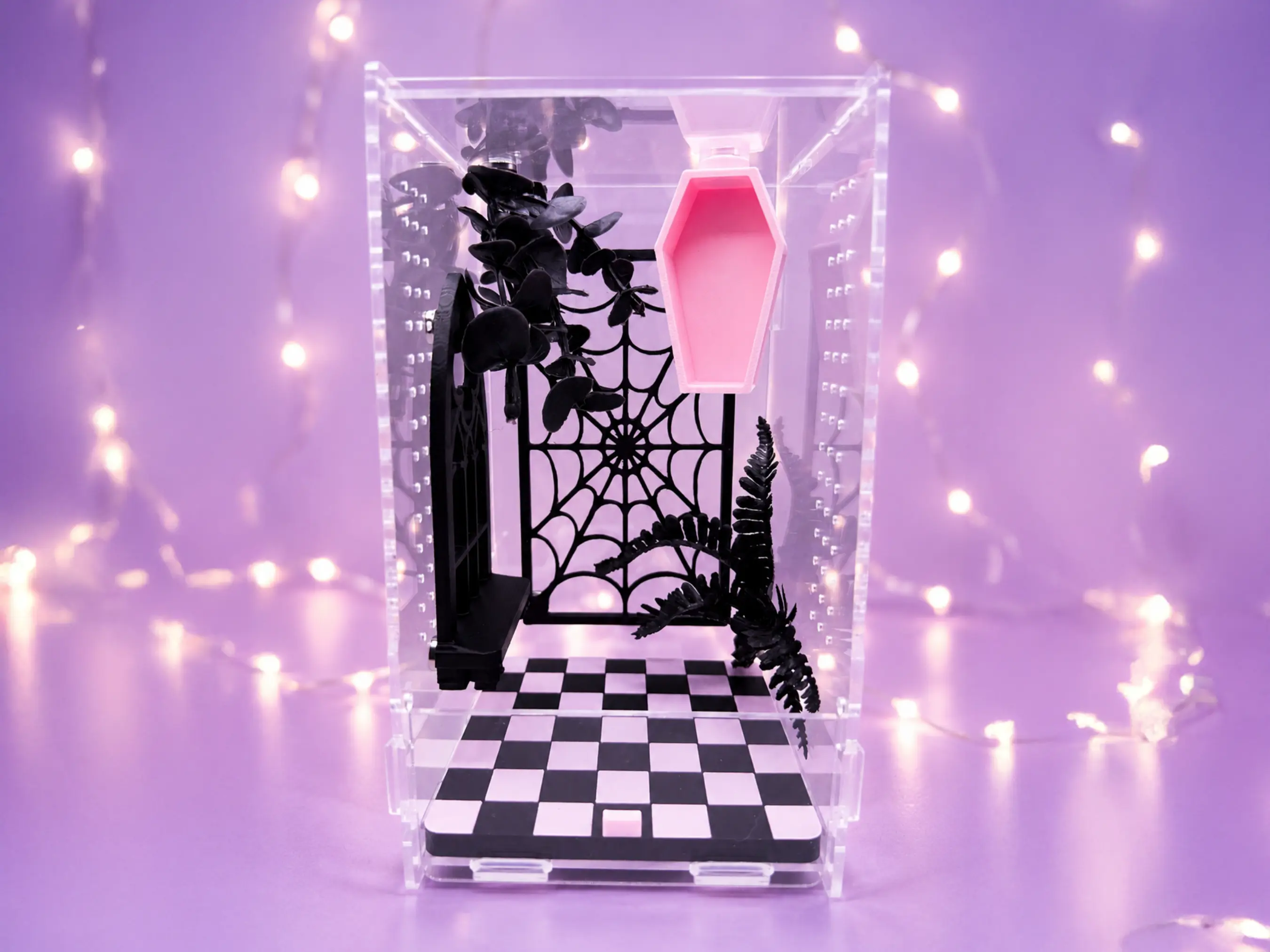 Pretty Little Crypt Enclosure • Complete Jumping Spider Enclosure