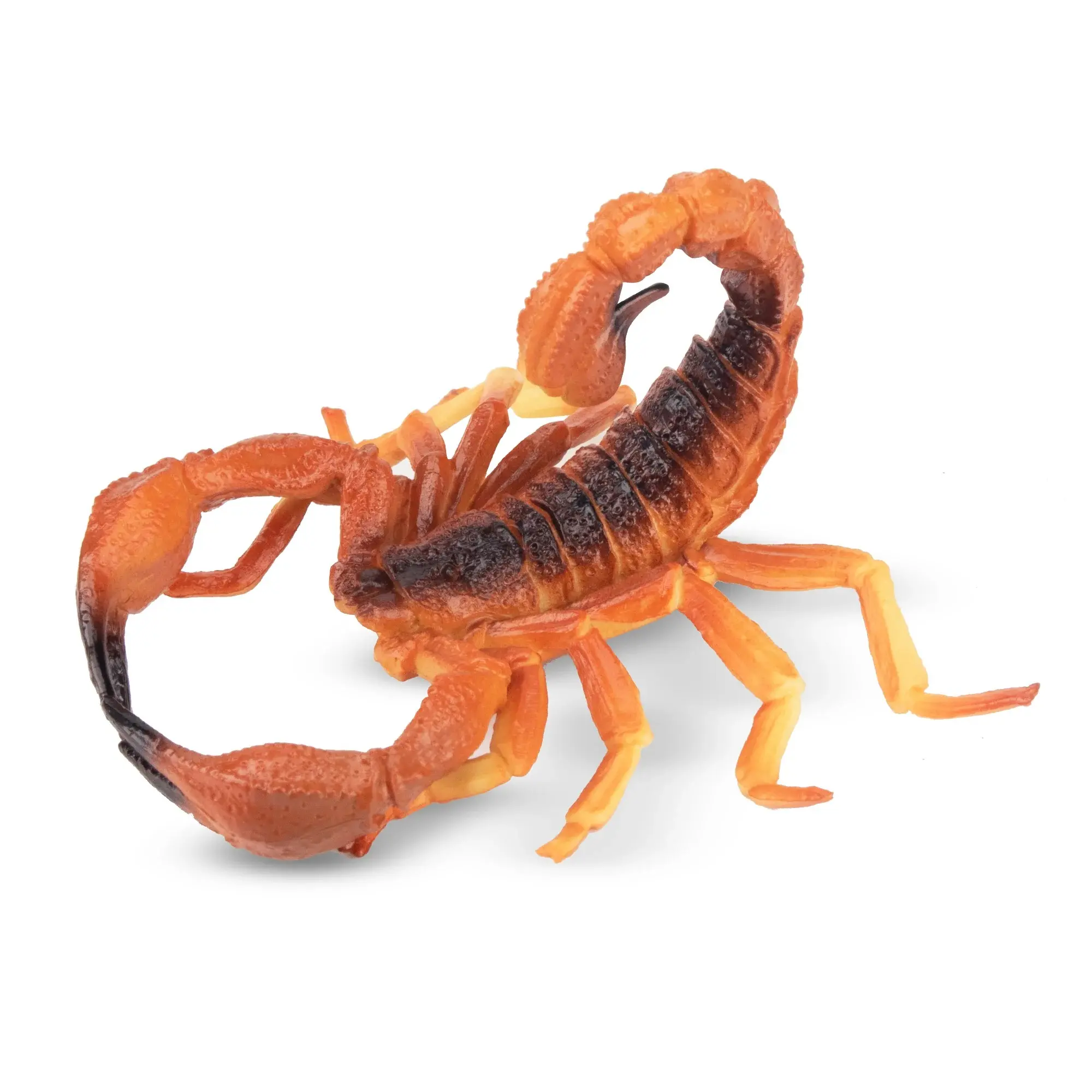 Toymany Hand-Painted Red Scorpion Figurine – Realistic Arachnid Model, Perfect for Early Education, Montessori Sensory Play, Cake & Party Decorations, Desk & Home Décor, Thoughtful Gifts, and Collectible Figurine