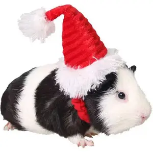 Guinea Pig Santa Hat,Kitten Bunny Hamster Chinchilla Hedgehog Ferrets Squirrel Christmas Hat Stripe Santa Claus Cap Party Hat for Small Animals (X-Small)