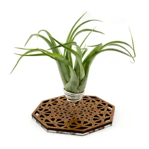 Wire Air Plant Holder 5 - Unique Plant Display Stand // Geometric Modern Wood Home Decor Table Shelf Desk Plant Lover Gift Idea