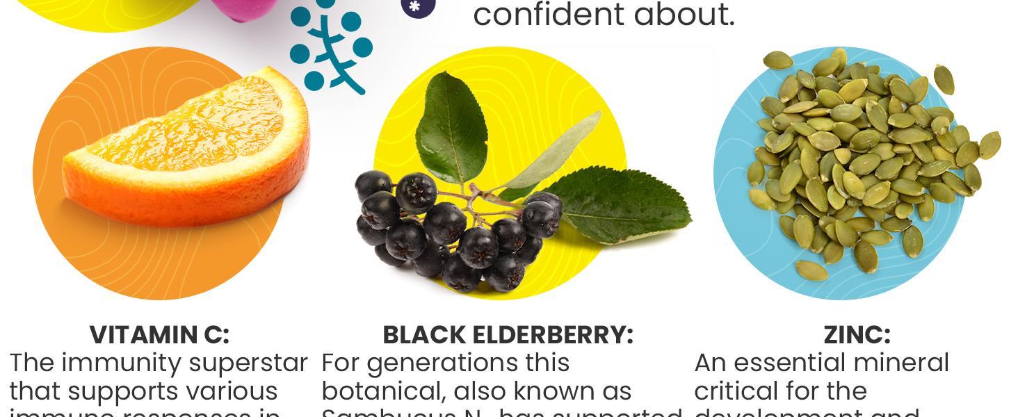 Elderberry Gummies for Kids with Vitamin C & Zinc | Immune Support Supplement for Children | Daily Defense for Seasonal Changes | Natural Antioxidants | 60 Count