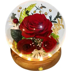 Long-Lasting Real ,  Floral  for You to Send Love for All Occasions, for Indoor Decoration (Dark Red Rose))