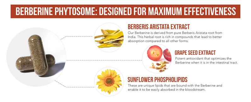 SoActive Berberine | High-Absorption Berberine Phytosome – Clinically Validated Formula for Heart and Cellular Health – 60 Servings Healthcare Fitness dietary