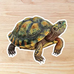 Turtle Vinyl Sticker