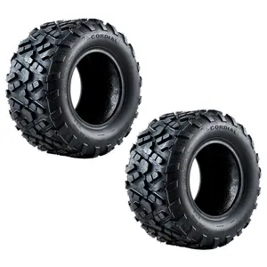 22x10-10 ATV UTV Tires,22x10x10 All-Terrain ATV Tires for Rock, Sand, Mud, Trail,4PR Tubeless,Pack of 2