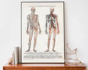 [UNFRAMED POSTER] Vintage Human Anatomy Print, Medical Wall Art, Cardiovascular Chart, Antique Lithograph