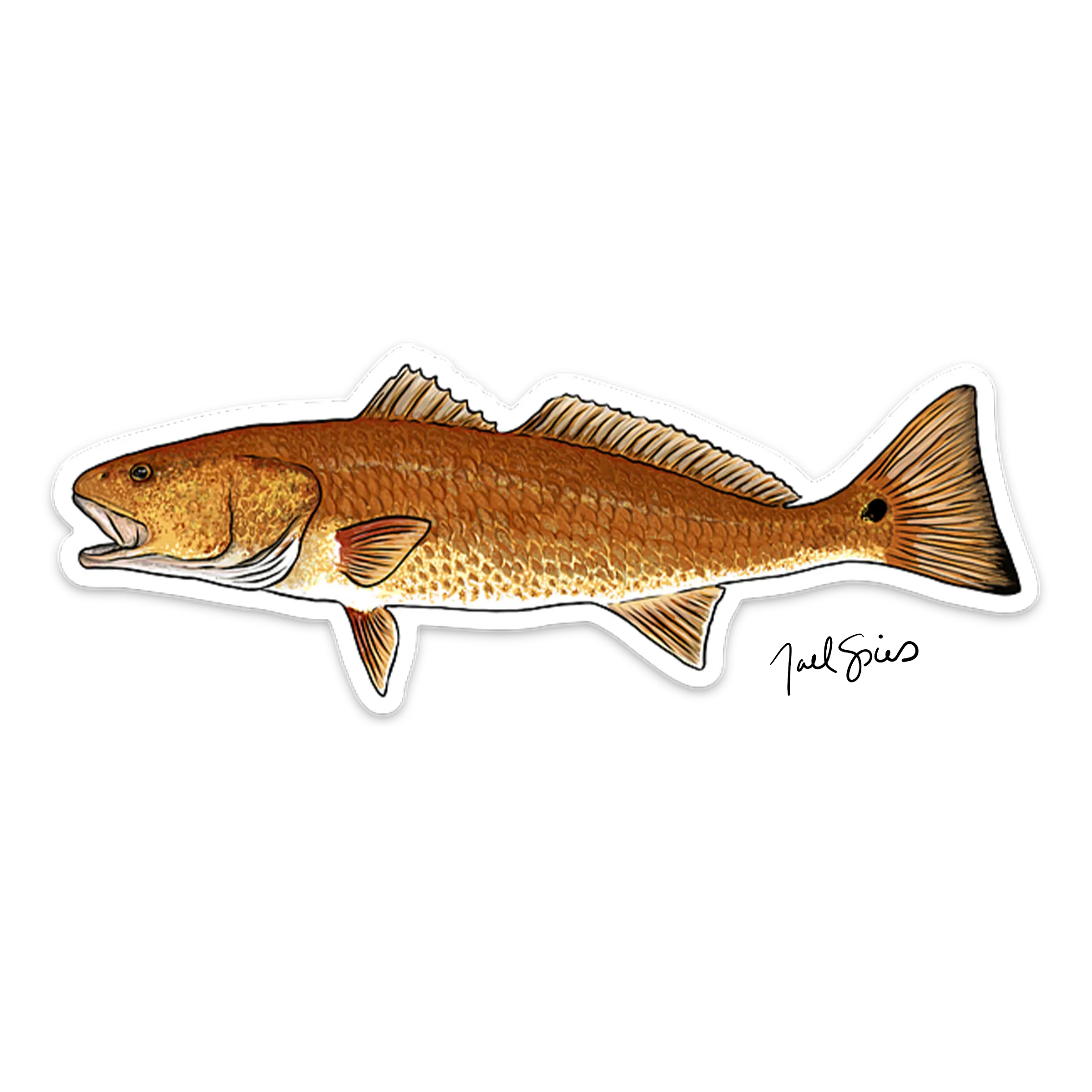 Redfish Decal
