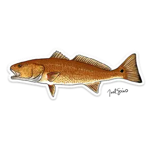Redfish Decal