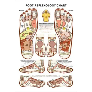 Massage Therapist Knowledge Metal Signs Vintage Foot Reflexology Chart Tin Poster Doctor Office Clinic Hospital Home Wall Decor
