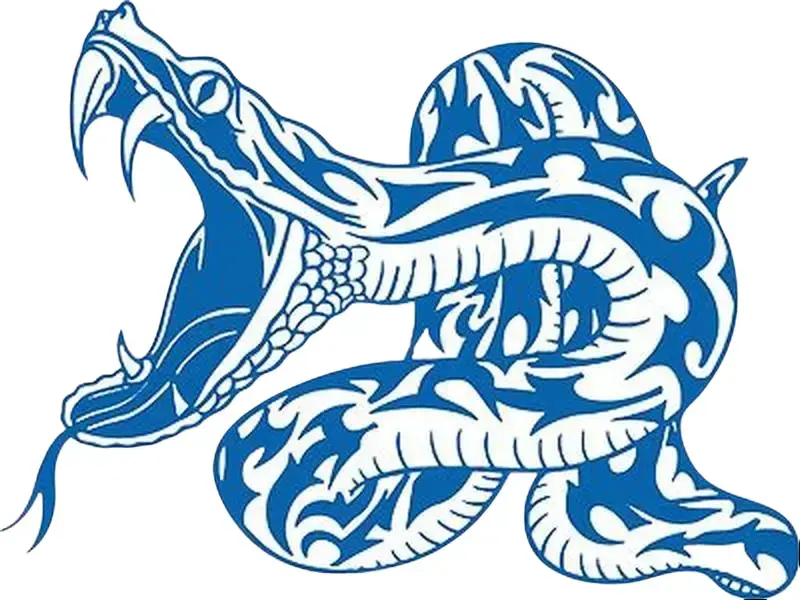 Snake Bite Fang Tribal Outdoor Vinyl Decal Sticker - 6 Years Durability, for Automotive Car Truck Windows, Laptops & Motorcycle Accessories