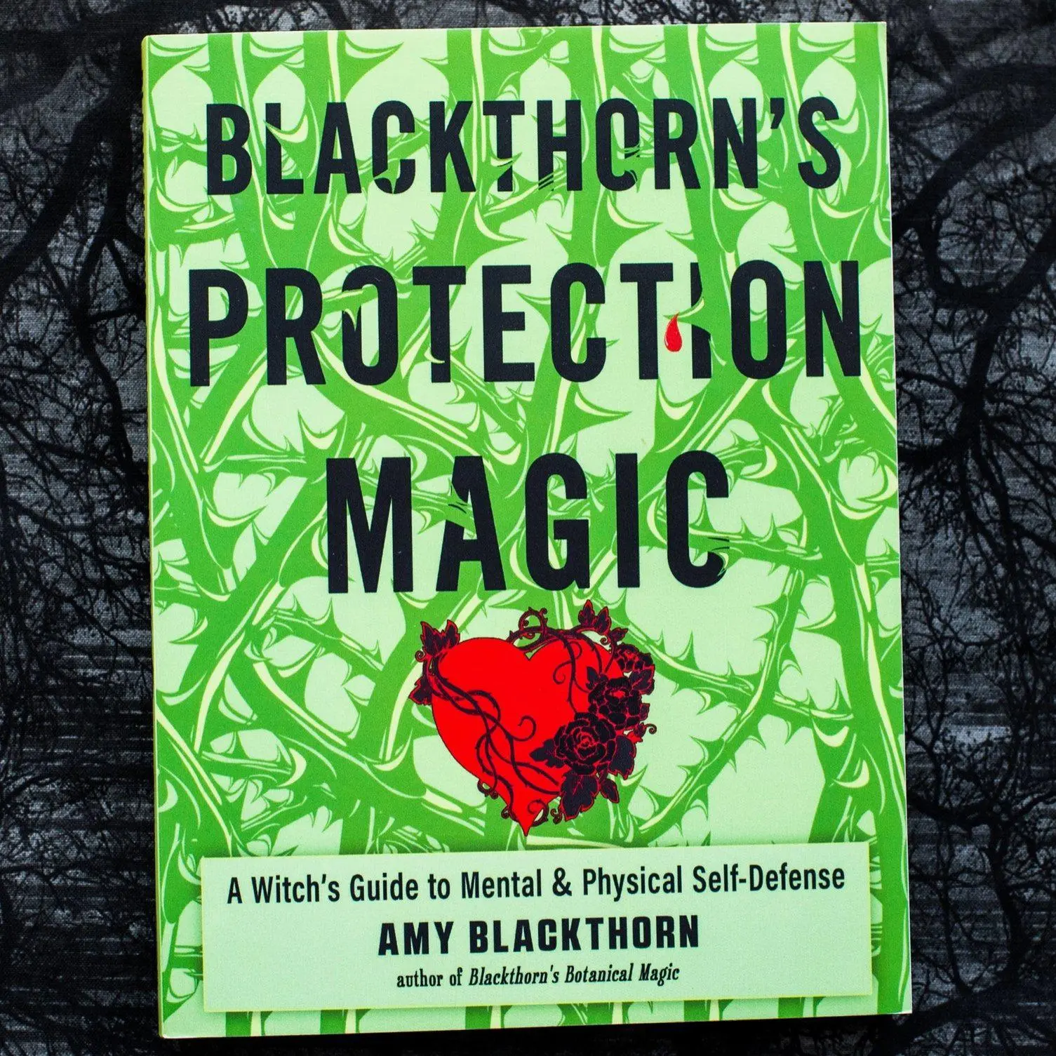 Blackthorn's Protection Magic: A Witch’s Guide To Defense