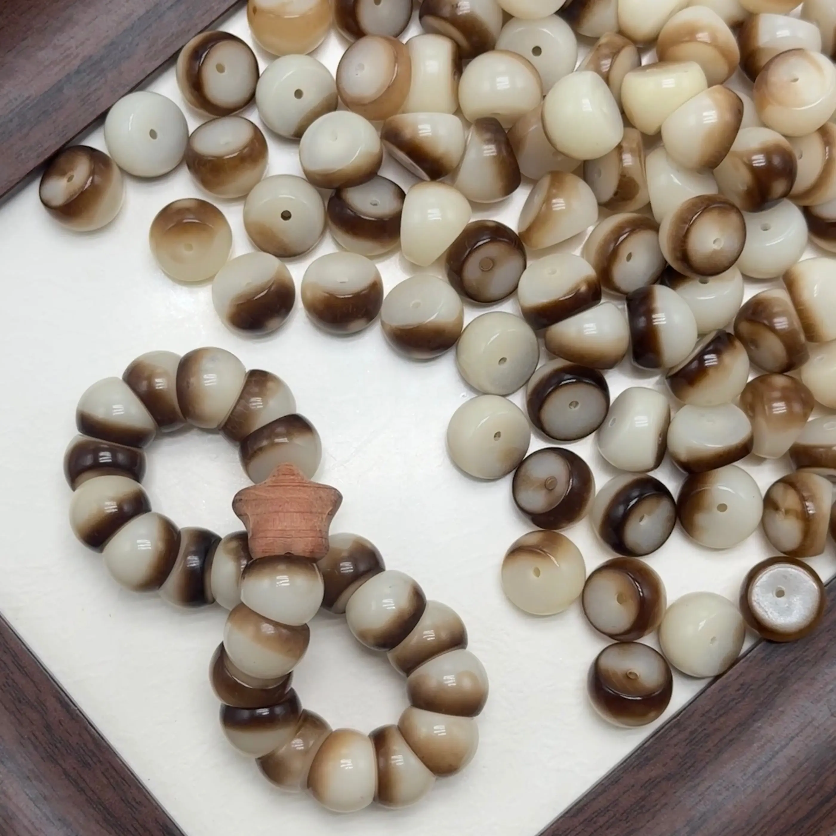 (F05) 14mm coconut garlic*50pcs