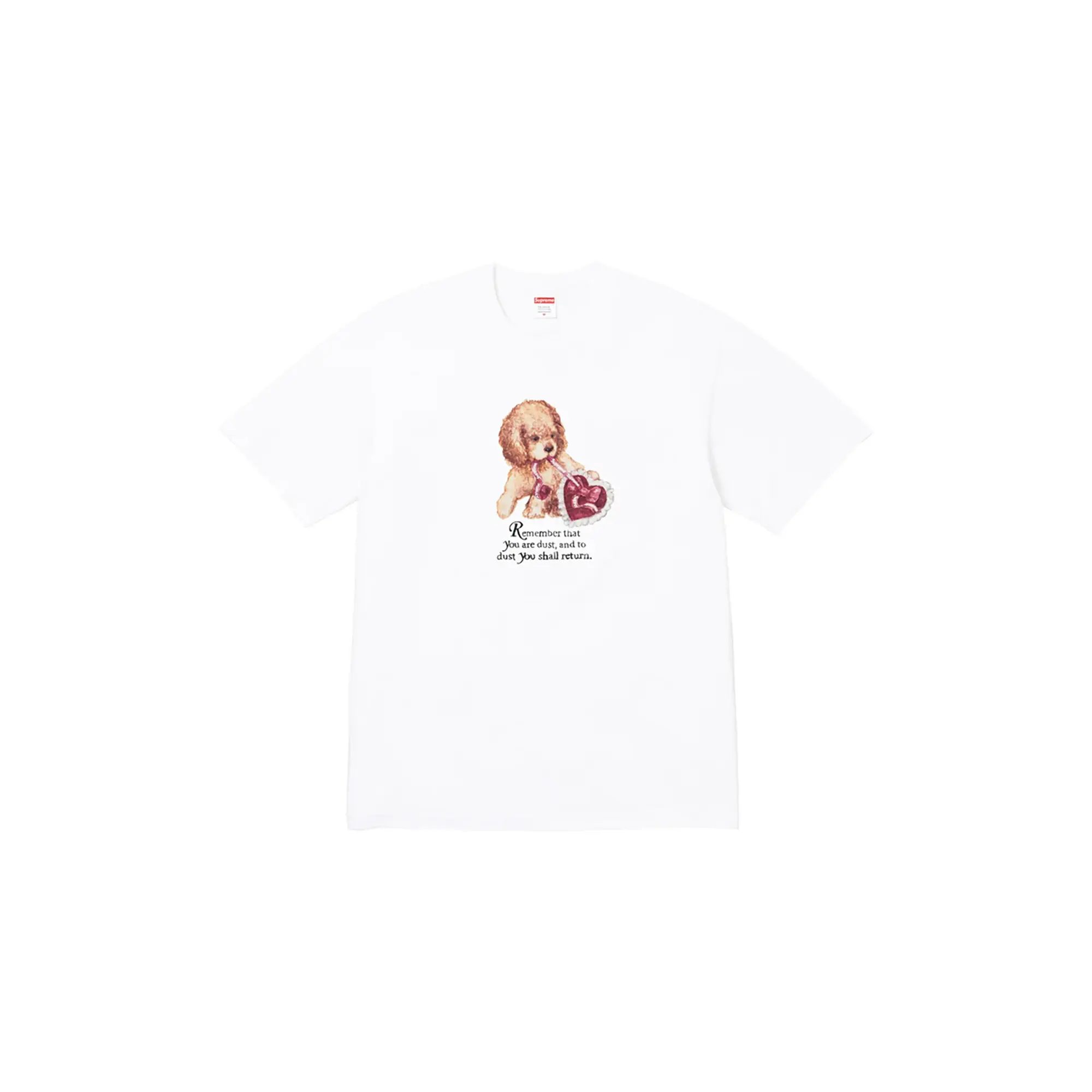 Dust Tee "FW25 - White" SU26817