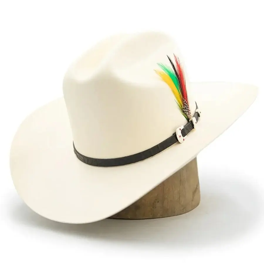 Sombrero Estilo Sinaloa Tombstone 5000x Falda 3 1/2